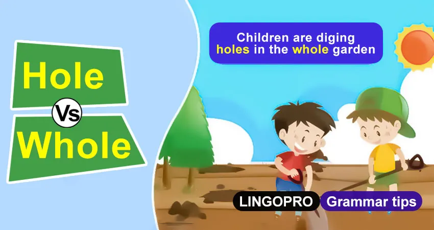 Differences between hole vs whole